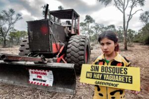 Greenpeace