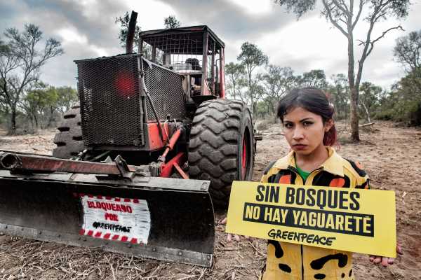 Greenpeace