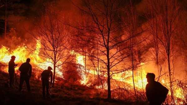 incendios-forestales