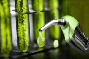 Biocombustible