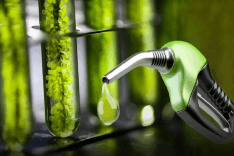 Biocombustible