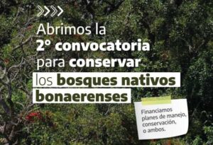 Bosques nativos