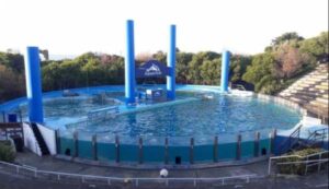 Aquarium