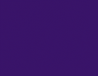 EMOVA 320x250