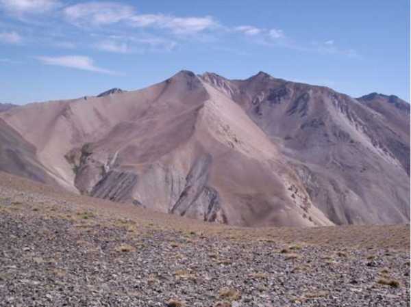 kobrea