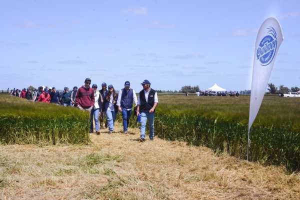 Día de Campo Quilmes