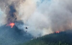 Incendios Forestales