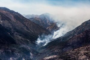incendios pata