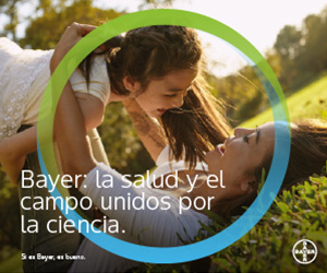 Bayer 300x250