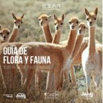 IMG Guía Flora y Fauna EXAR (002)