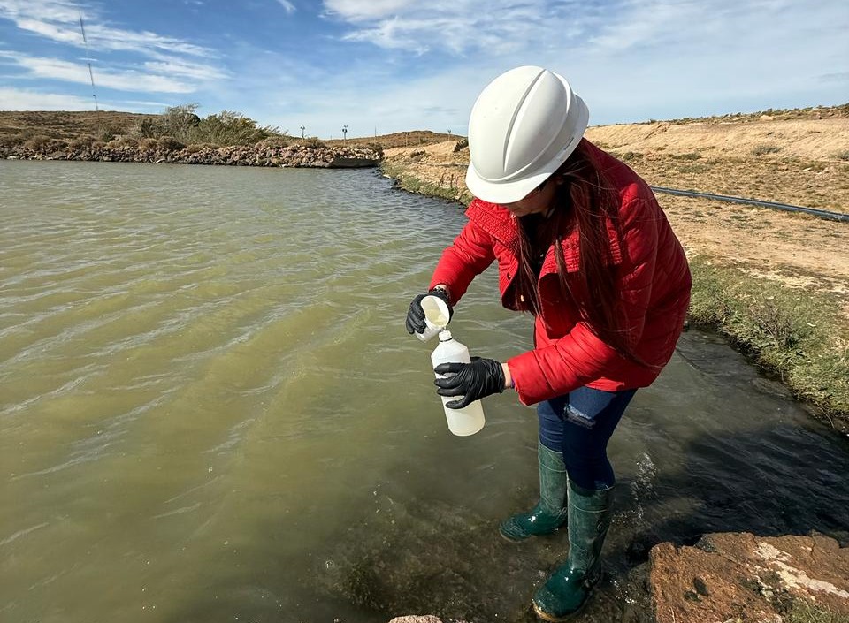 Monitoreo Ambiental 4 - Cerro Vanguardia