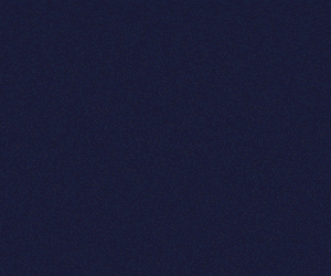 CMQ_Institucional_Animated-300x250_v2-optimize