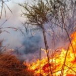 Incendios La Rioja