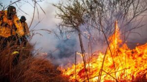 Incendios La Rioja