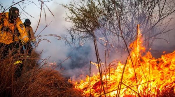 Incendios La Rioja