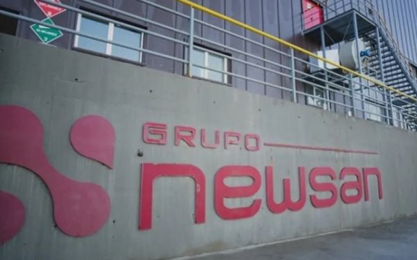 Newsan