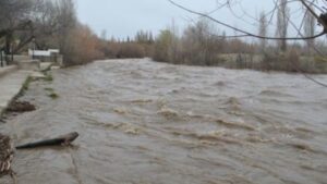 Neuquen inundacion