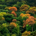 Biodiversidad