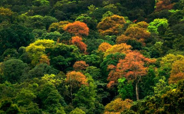 Biodiversidad