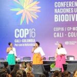 COP17