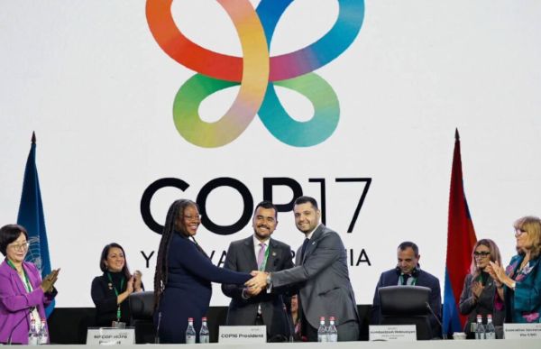 COP17 ok