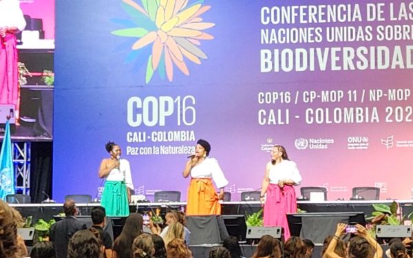 COP17