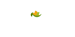 banner PepsiCo